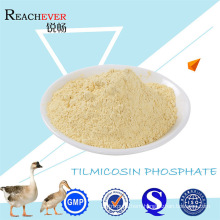 Tilmicosin Phosphate with GMP for Animal Health